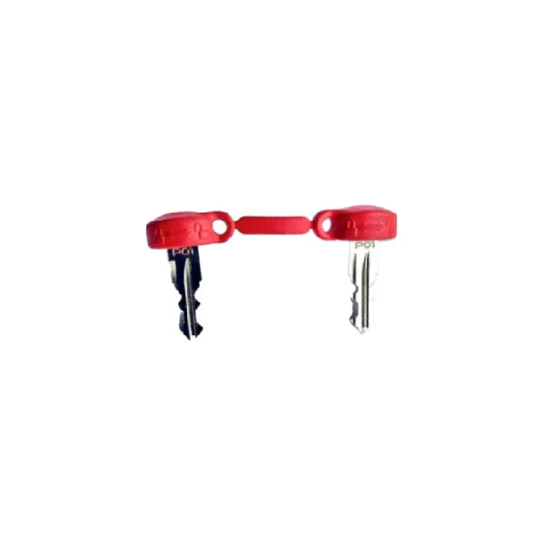 Sleutels ACS P02 image